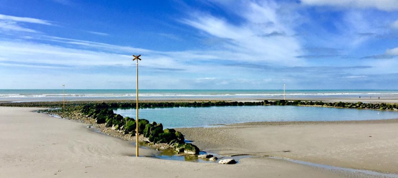 Joli Studio Proche Plage Et Centre Avec Parking 维姆勒 外观 照片